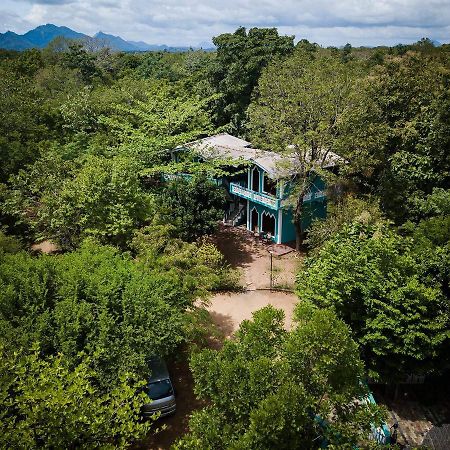 The Lion Rock Sigiriya Exterior foto